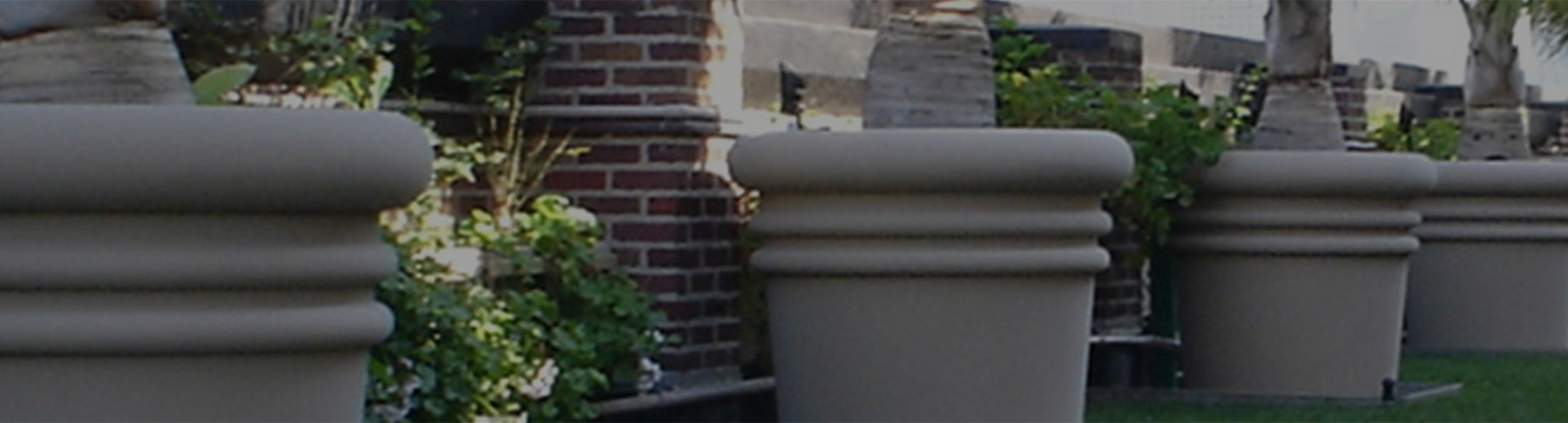 Rooftop