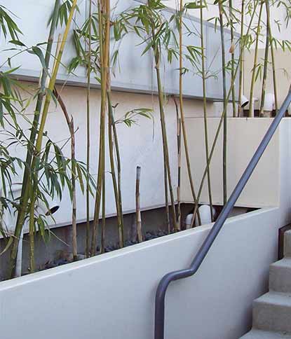 Stormwater Planter