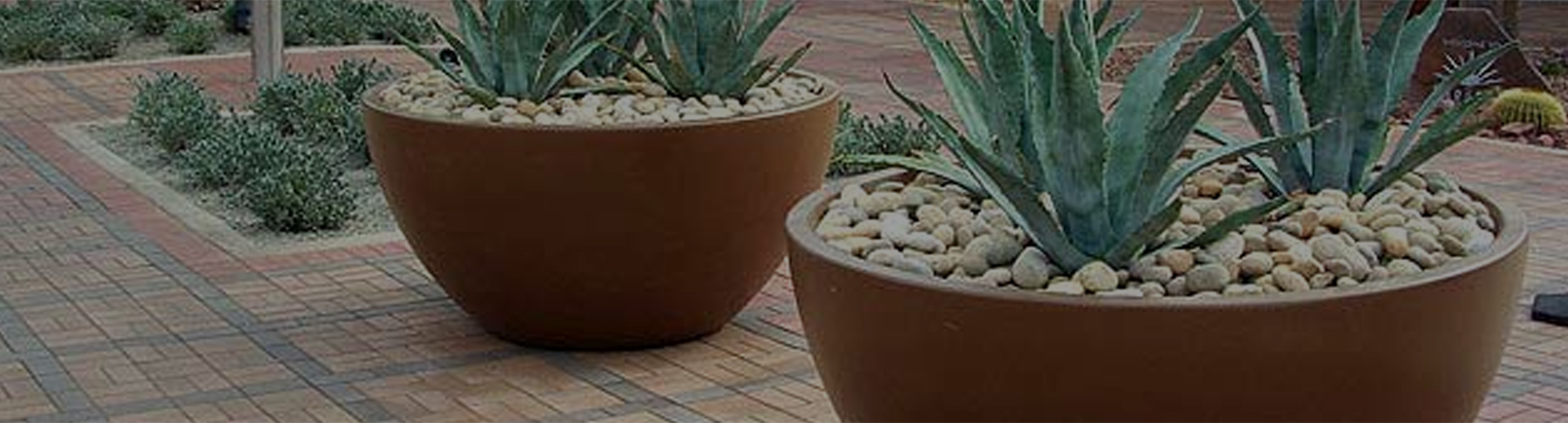 Catalog Specialty Planters